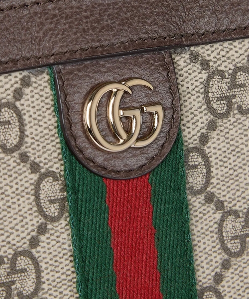 Ophidia case for iPad | Emporium