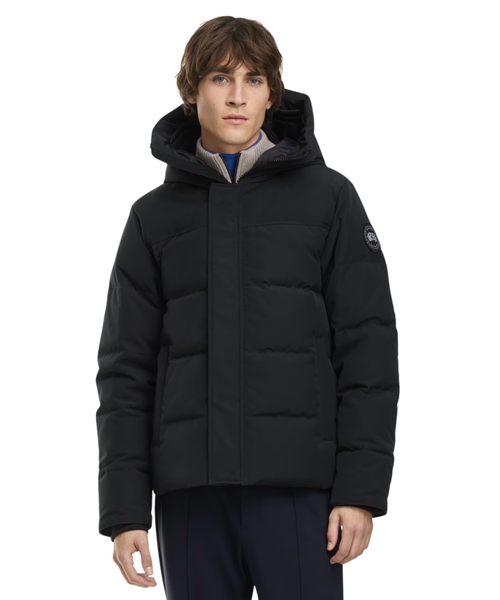 Парка MacMillan