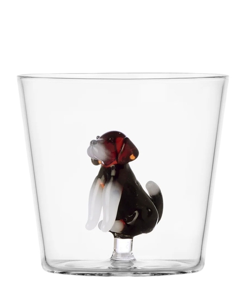 Tumbler English foxhound