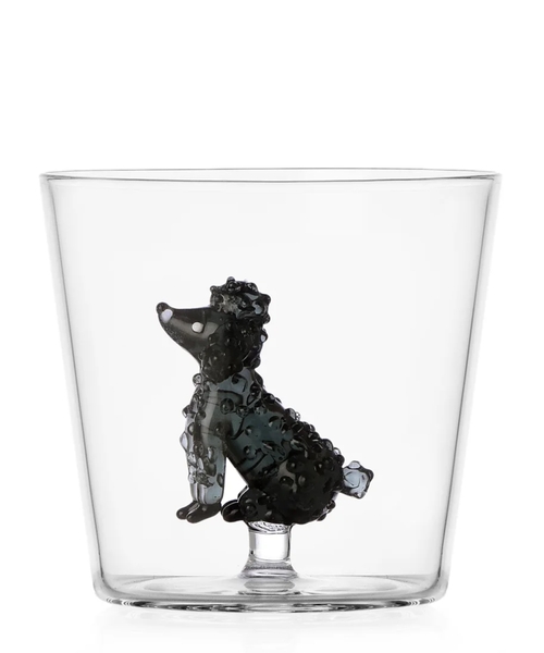 Tumbler poodle