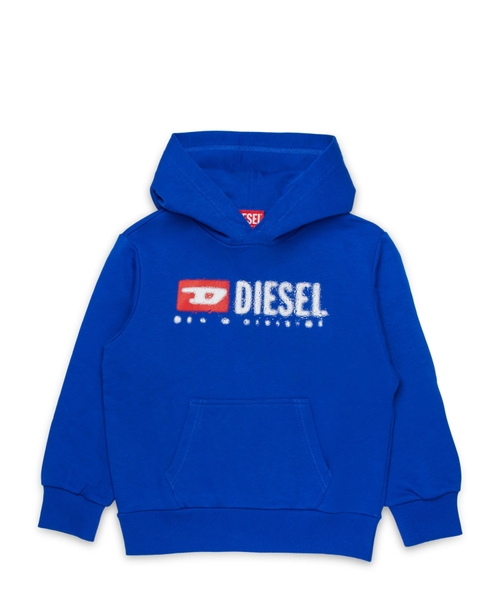 Hooded sweatshirt with logo