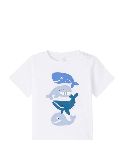 Cotton jersey T-shirt