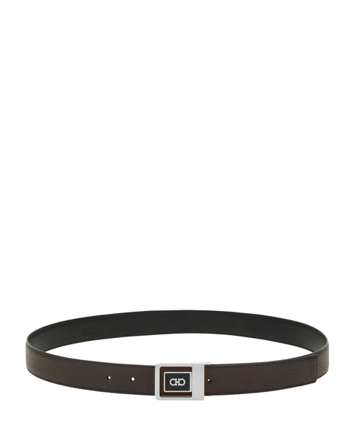 Reversible and adjustable belt